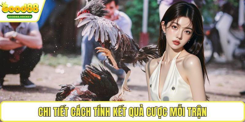 Luật đá gà Philippines Chi tiết cách tính kết quả cược mỗi trận