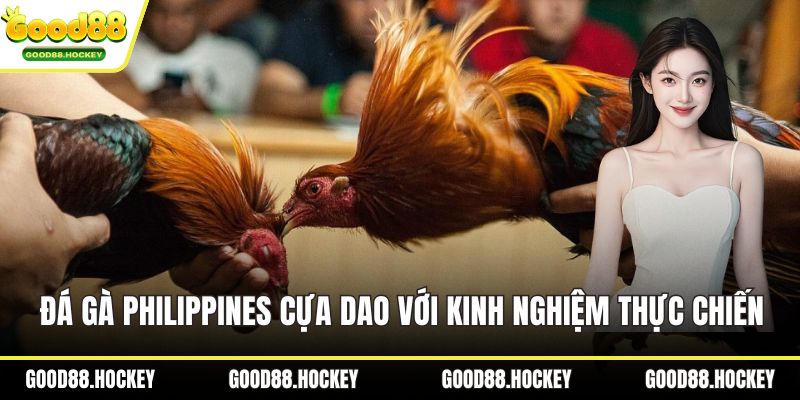 Đá gà Philippines cựa dao