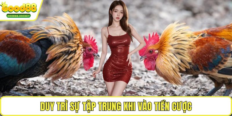 Đá gà Philippines cựa dao Duy trì sự tập trung khi vào tiền cược
