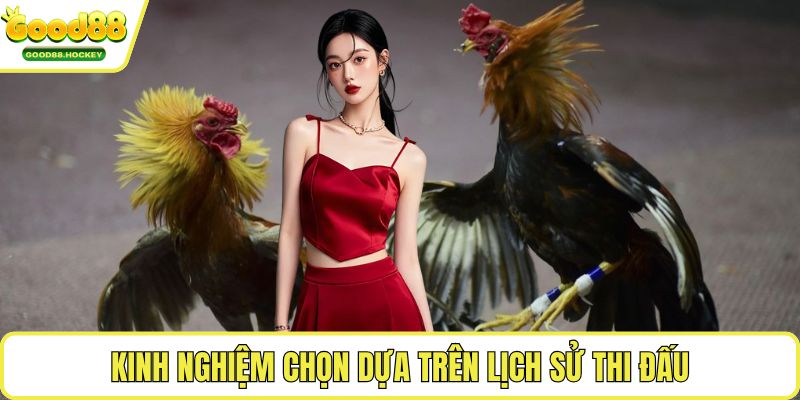 Kinh nghiệm chọn gà cựa sắt Kinh nghiệm chọn dựa trên lịch sử thi đấu