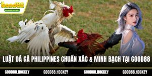 Luật đá gà Philippines