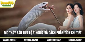 Mơ thấy rắn