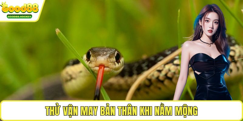 Mơ thấy rắn Thử vận may bản thân khi nằm mộng