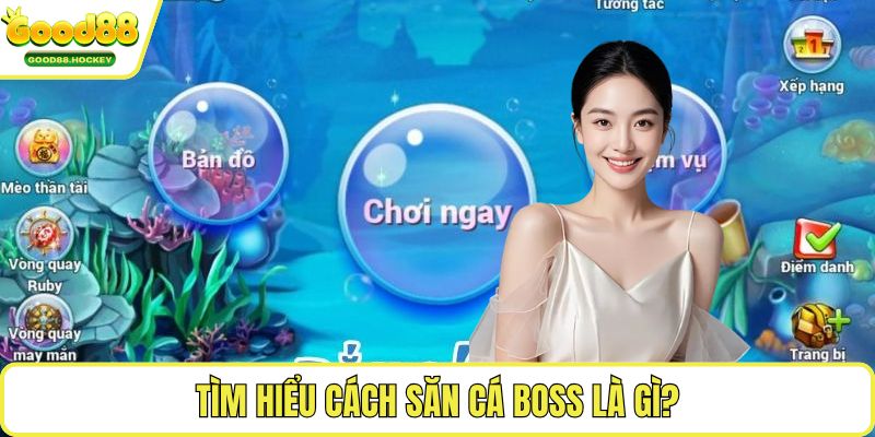 Cách săn cá boss Tìm hiểu cách săn cá boss là gì