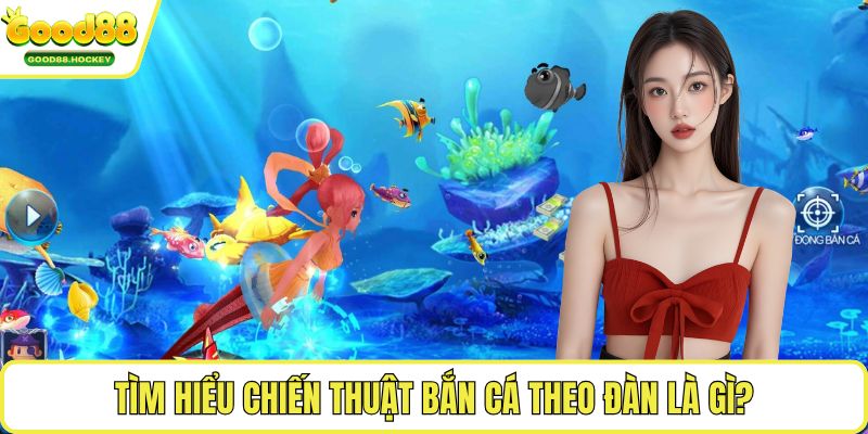 Chiến thuật bắn cá theo đàn Tìm hiểu chiến thuật bắn cá theo đàn là gì