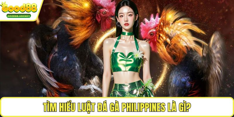 Luật đá gà Philippines Tìm hiểu luật đá gà Philippines là gì