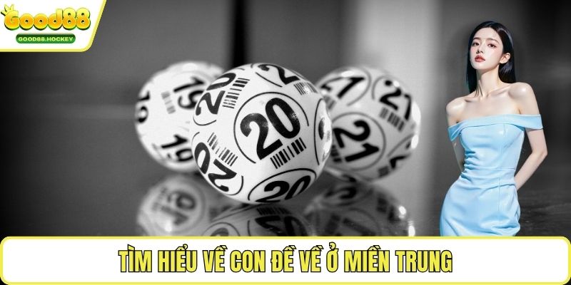 Đề về kép hôm sau đánh con gì Tìm hiểu về con đề về ở miền Trung