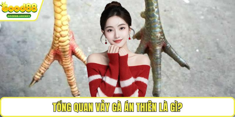 Vảy gà án thiên Tổng quan vảy gà án thiên là gì